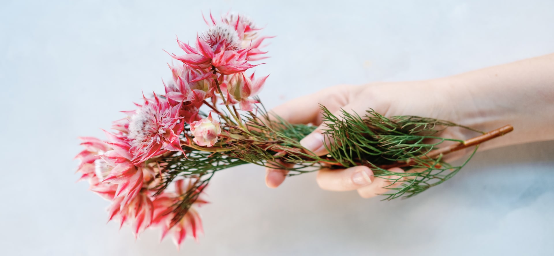 essential-oils_28